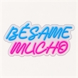 Pemberly Row Blue Besame Mucho LED Neon Sign on Acrylic Wall Decor