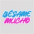 Pemberly Row Blue Besame Mucho LED Neon Sign on Acrylic Wall Decor