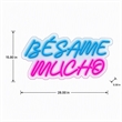 Pemberly Row Blue Besame Mucho LED Neon Sign on Acrylic Wall Decor