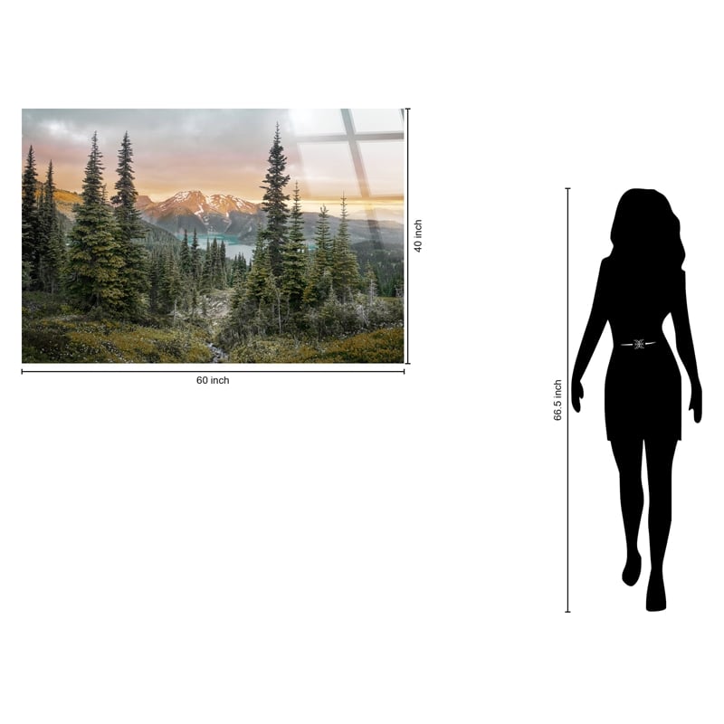 Pemberly Row Frameless Multi-Color Tempered Glass Wall Art 60