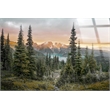Pemberly Row Frameless Multi-Color Tempered Glass Wall Art 60