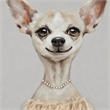 Pemberly Row Contemporary Canvas Wall Art Multi-Color Pup Design - 30