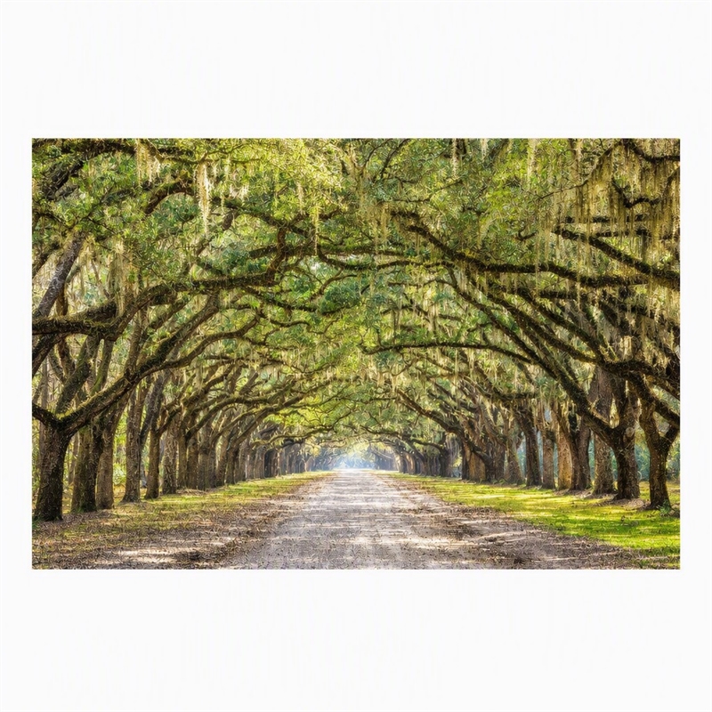 Pemberly Row Frameless Multi-Color Tempered Glass Wall Art - 60