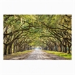 Pemberly Row Frameless Multi-Color Tempered Glass Wall Art - 60