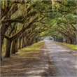 Pemberly Row Frameless Multi-Color Tempered Glass Wall Art - 60