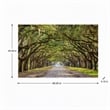 Pemberly Row Frameless Multi-Color Tempered Glass Wall Art - 60
