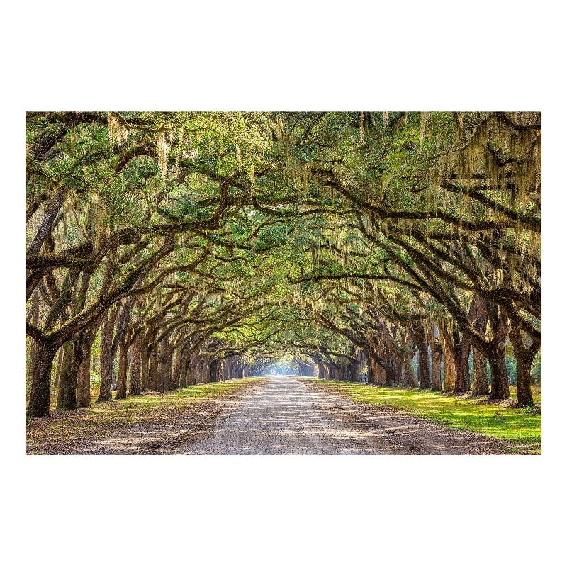 Pemberly Row Frameless Multi-Color Tempered Glass Wall Art - 60