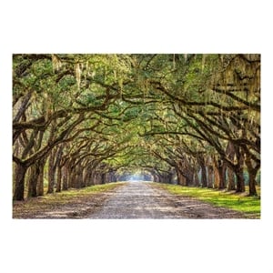 Pemberly Row Frameless Multi-Color Tempered Glass Wall Art - 60&quot x 40&quot