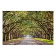 Pemberly Row Frameless Multi-Color Tempered Glass Wall Art - 60