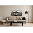 Pemberly Row Majestic Longhorn Multi-Color Canvas Wall Art - Black Wood Frame