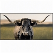 Pemberly Row Majestic Longhorn Multi-Color Canvas Wall Art - Black Wood Frame