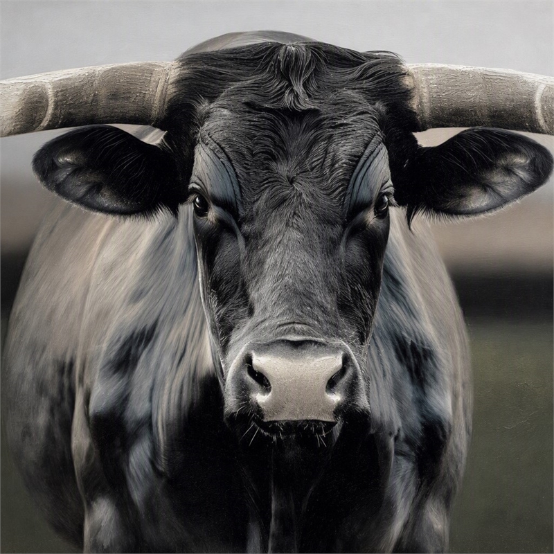 Pemberly Row Majestic Longhorn Multi-Color Canvas Wall Art - Black Wood Frame