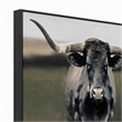 Pemberly Row Majestic Longhorn Multi-Color Canvas Wall Art - Black Wood Frame