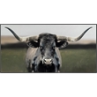 Pemberly Row Majestic Longhorn Multi-Color Canvas Wall Art - Black Wood Frame