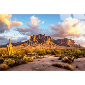 Pemberly Row Blue Sonoran Radiance Tempered Glass Wall Decor 40&quot x 60&quot