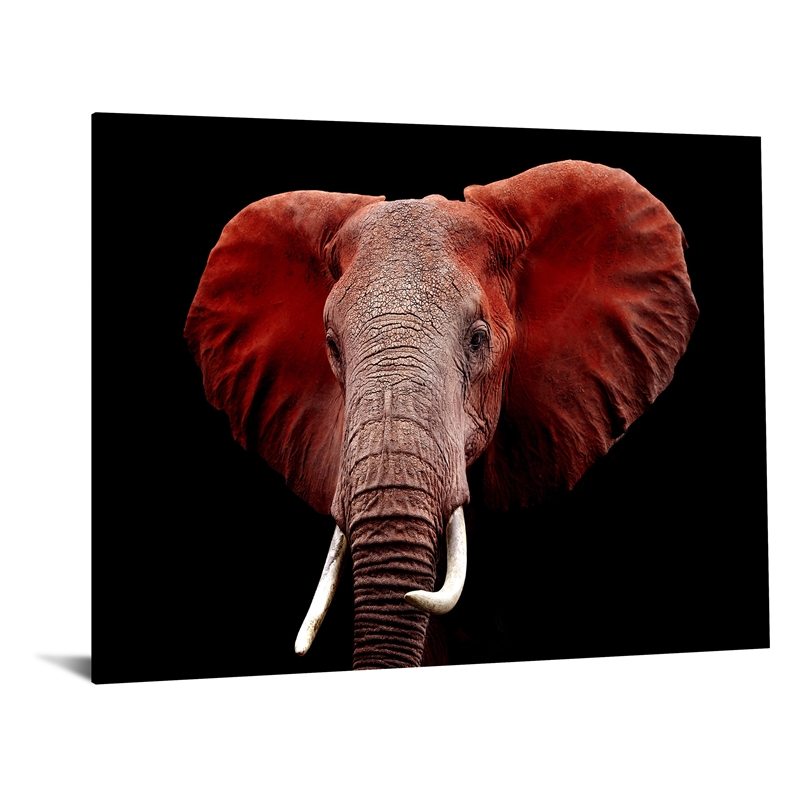 Pemberly Row Frameless Tempered Glass Multi-Color Wall Art 60