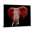 Pemberly Row Frameless Tempered Glass Multi-Color Wall Art 60