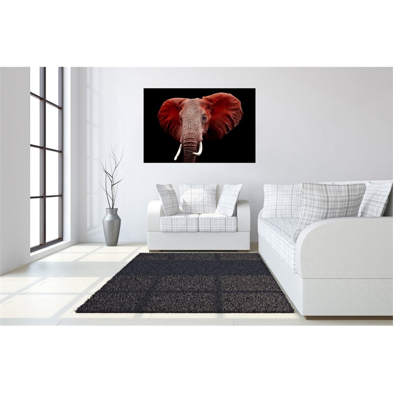Pemberly Row Frameless Tempered Glass Multi-Color Wall Art 60