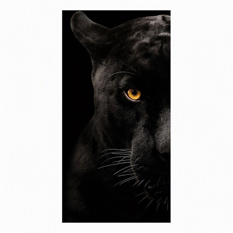Pemberly Row Panther Face Frameless Tempered Glass Wall Art - 40