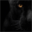 Pemberly Row Panther Face Frameless Tempered Glass Wall Art - 40