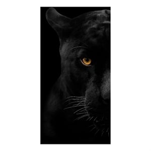 Pemberly Row Panther Face Frameless Tempered Glass Wall Art - 40&quot x 60&quot