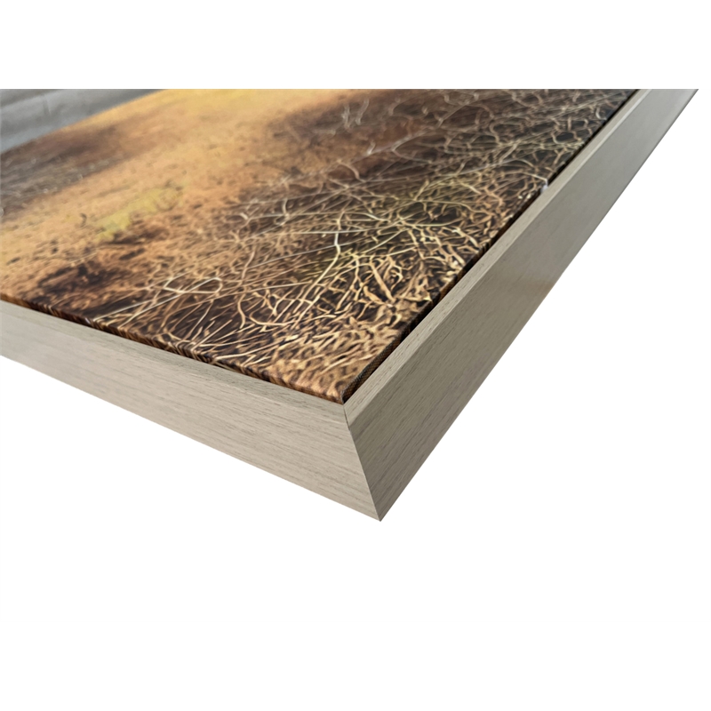 Pemberly Row Savanna Gaze Hand-Embellished Canvas Wall Art with Frame in Brown
