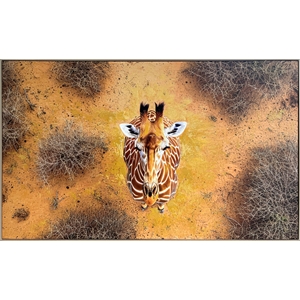 Pemberly Row Savanna Gaze Hand-Embellished Canvas Wall Art with Frame in Brown
