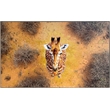 Pemberly Row Savanna Gaze Hand-Embellished Canvas Wall Art with Frame in Brown