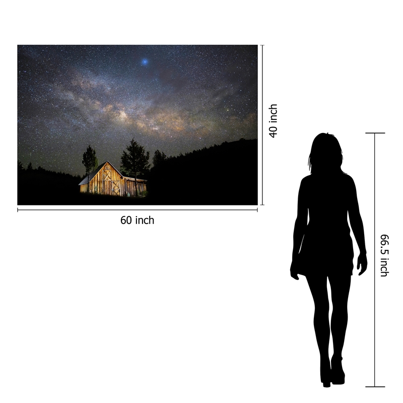Pemberly Row Frameless Tempered Glass Wall Art in Multicolor - 60