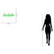 Pemberly Row LED Acrylic Neon Wall Sign in Green - 30