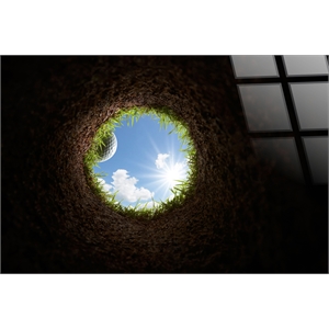 Pemberly Row Cup View Tempered Glass Golf Wall Art in Black Finish