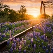 Pemberly Row Tempered Glass Wall Art in Multicolor - 40