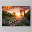 Pemberly Row Tempered Glass Wall Art in Multicolor - 40