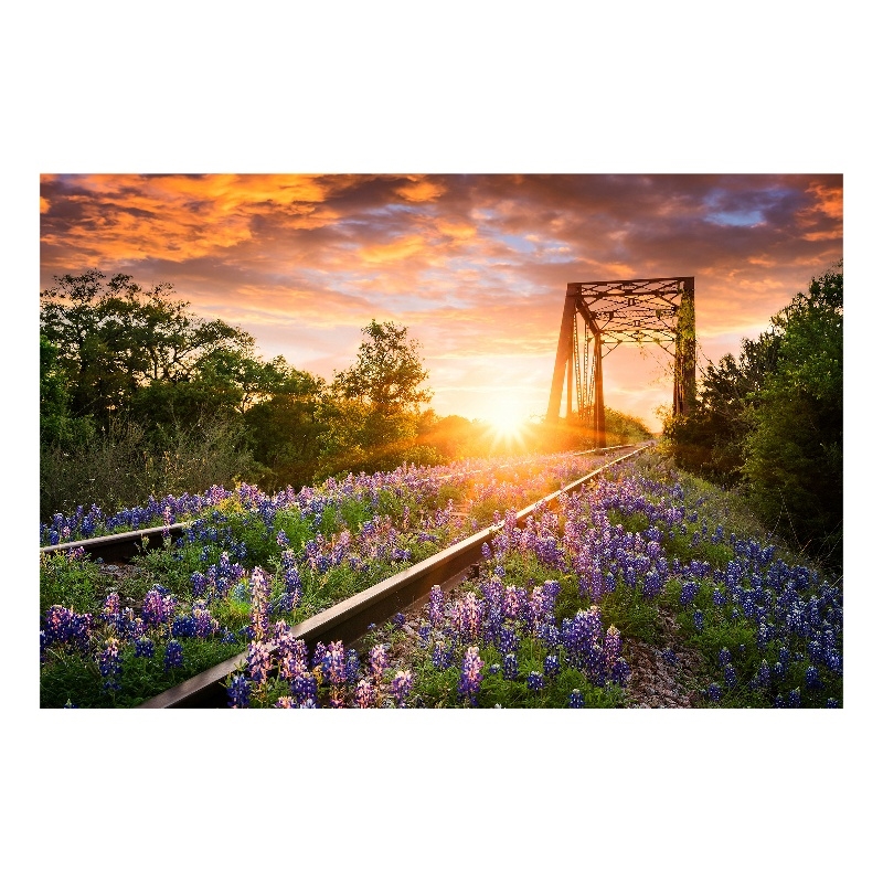 Pemberly Row Tempered Glass Wall Art in Multicolor - 40