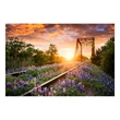Pemberly Row Tempered Glass Wall Art in Multicolor - 40