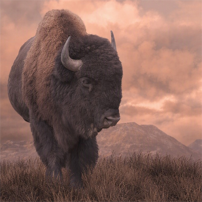 Pemberly Row Tempered Glass Frameless Wall Art - Sepia Buffalo - 40