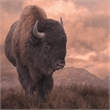 Pemberly Row Tempered Glass Frameless Wall Art - Sepia Buffalo - 40