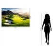 Pemberly Row Tempered Glass Art Green Scenic Panorama 40