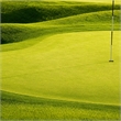 Pemberly Row Tempered Glass Art Green Scenic Panorama 40