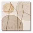 Pemberly Row Textured Abstract Canvas Wall Art - Circular Multi-Color Design