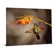 Pemberly Row Frameless Glass Wall Art Flutter Multicolor 60 x 40 in