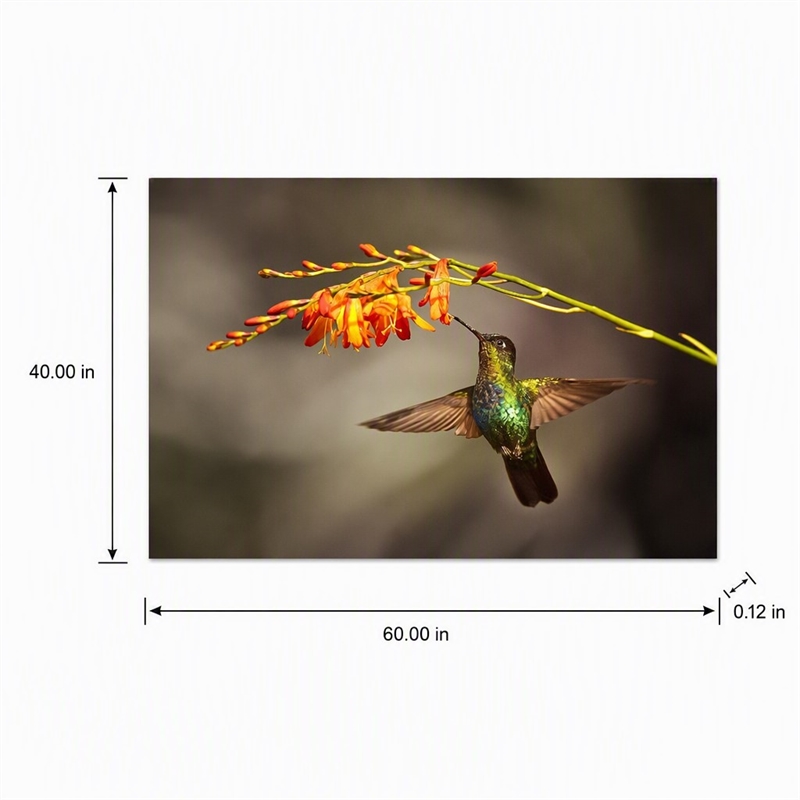 Pemberly Row Frameless Glass Wall Art Flutter Multicolor 60 x 40 in