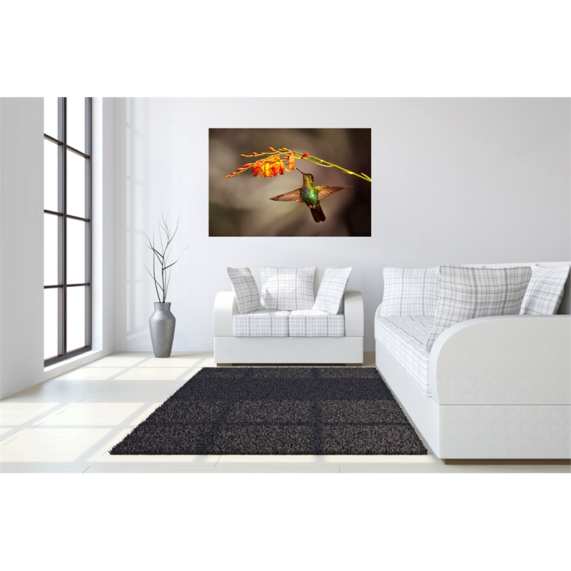 Pemberly Row Frameless Glass Wall Art Flutter Multicolor 60 x 40 in