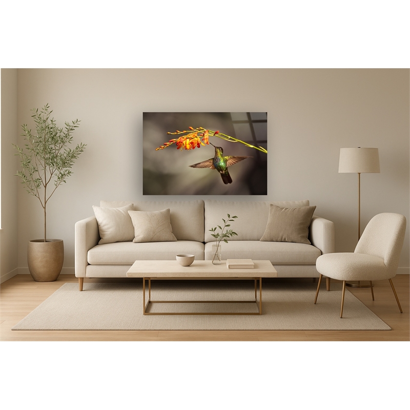 Pemberly Row Frameless Glass Wall Art Flutter Multicolor 60 x 40 in