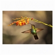 Pemberly Row Frameless Glass Wall Art Flutter Multicolor 60 x 40 in