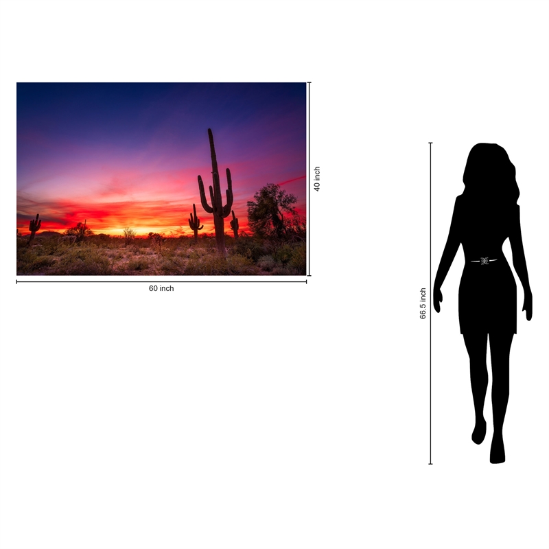 Pemberly Row Wall Art Desert Dreamscape Frameless Glass Multicolor