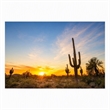Pemberly Row Wall Art Desert Dreamscape Frameless Glass Multicolor