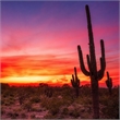 Pemberly Row Wall Art Desert Dreamscape Frameless Glass Multicolor