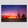 Pemberly Row Wall Art Desert Dreamscape Frameless Glass Multicolor