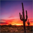 Pemberly Row Wall Art Desert Dreamscape Frameless Glass Multicolor
